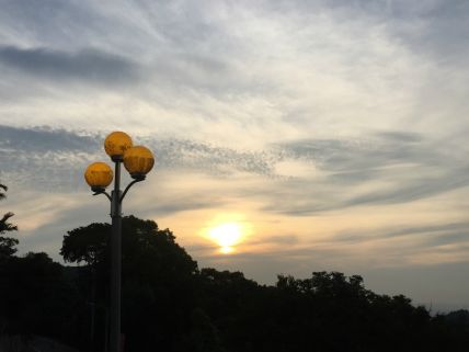 奥联电子案